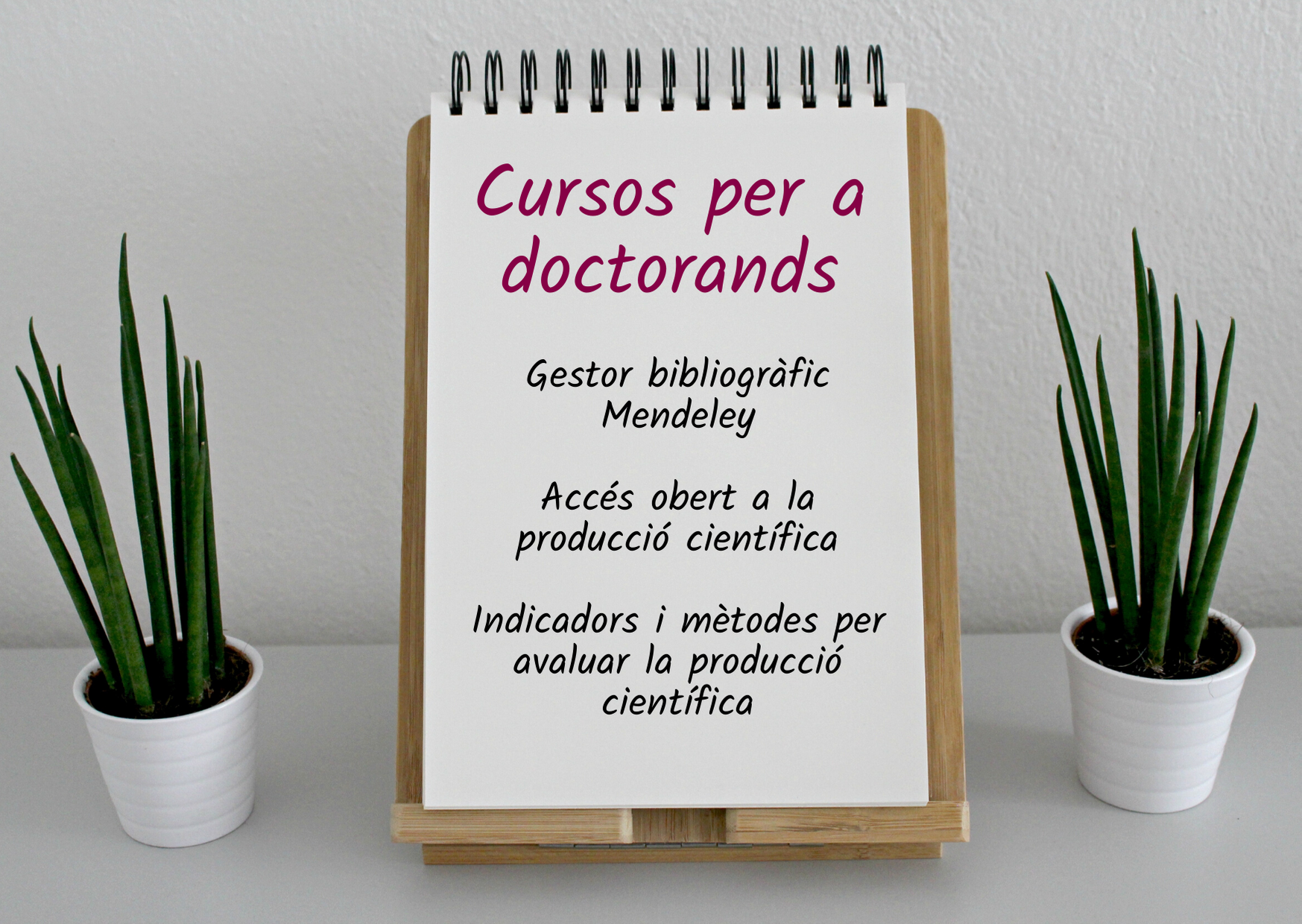 Cursos per a doctorands 2020
