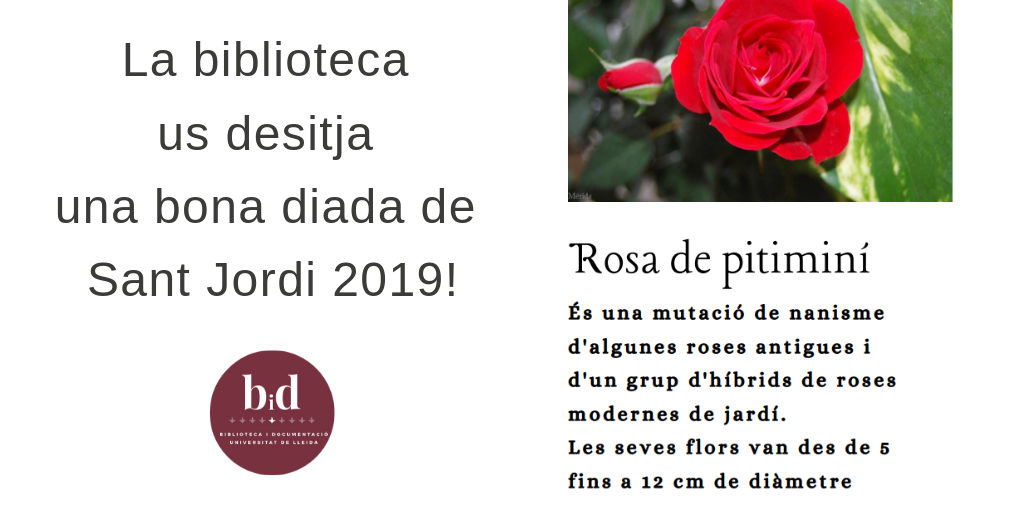 Sant Jordi2019