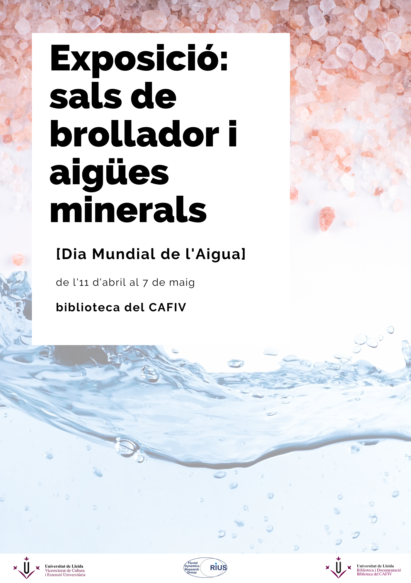 cartells_sal___594 × 841 mm___7_
