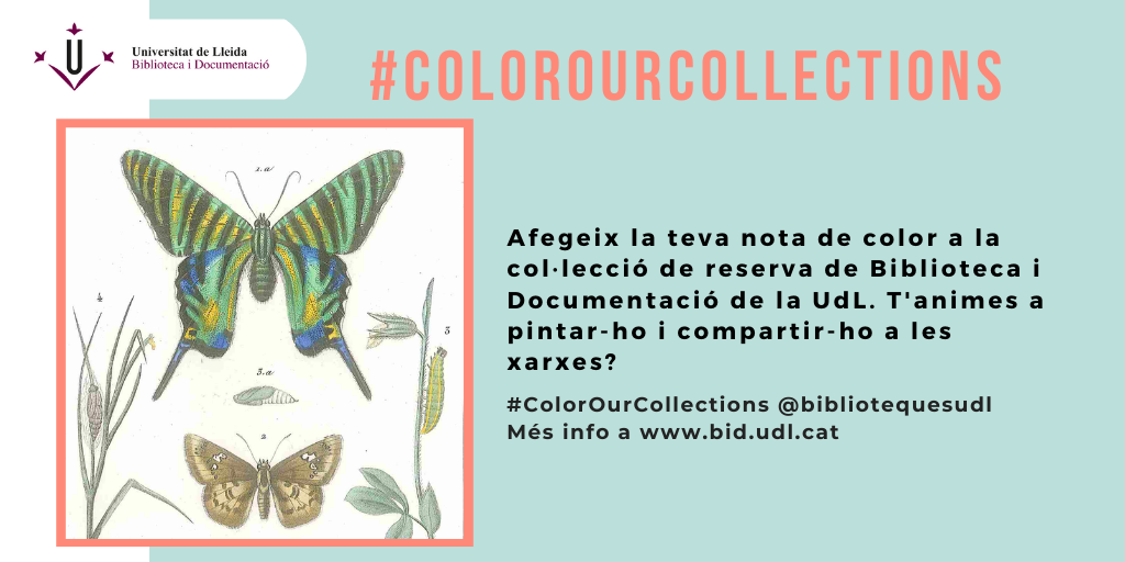 colorourcollection