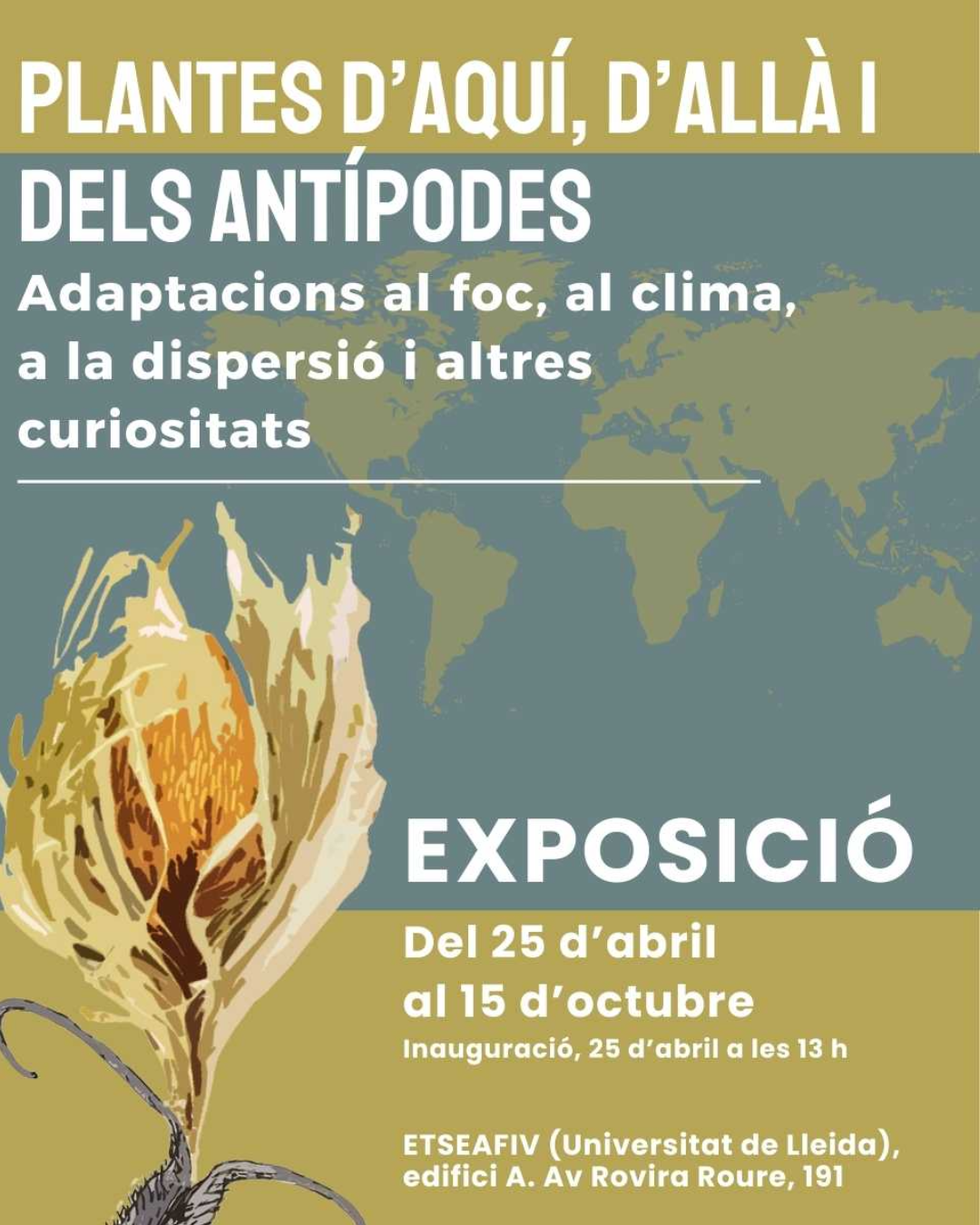 plantes