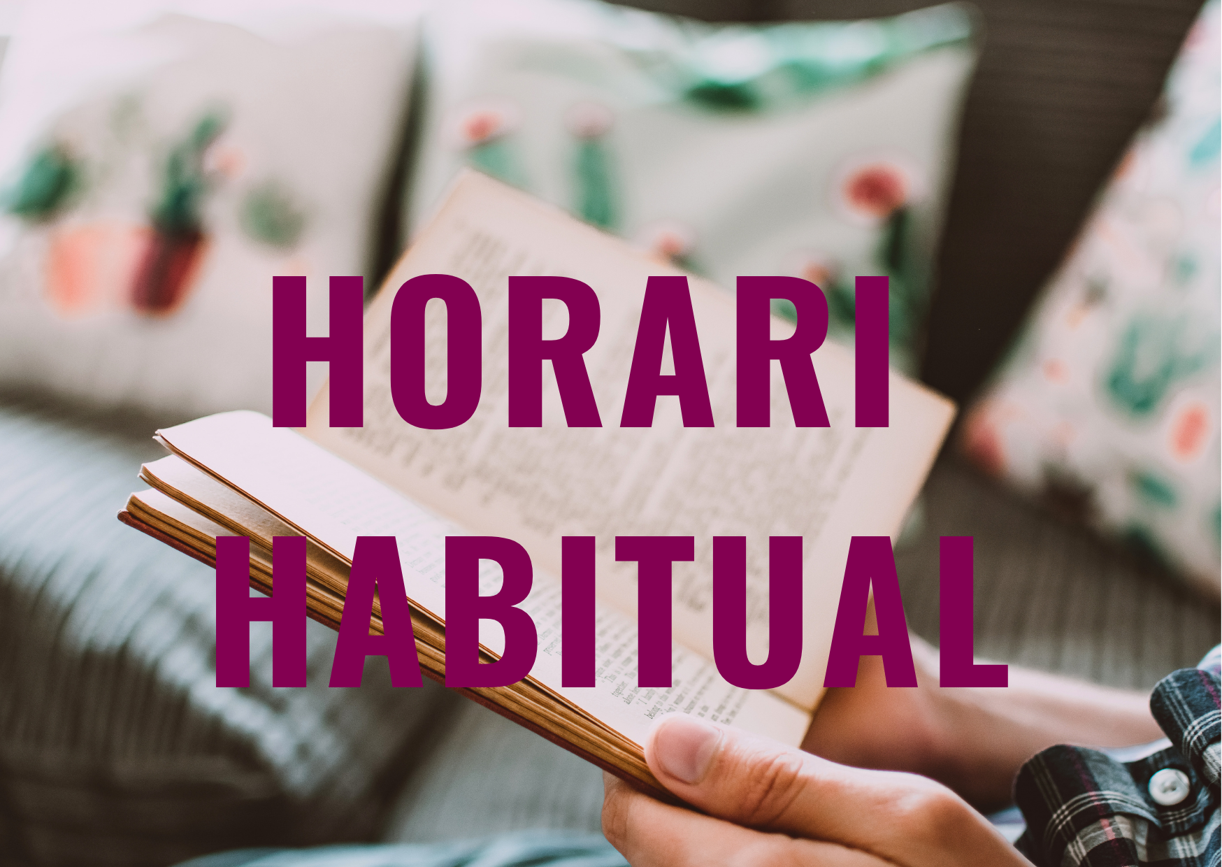 Reprenem l'horari habitual