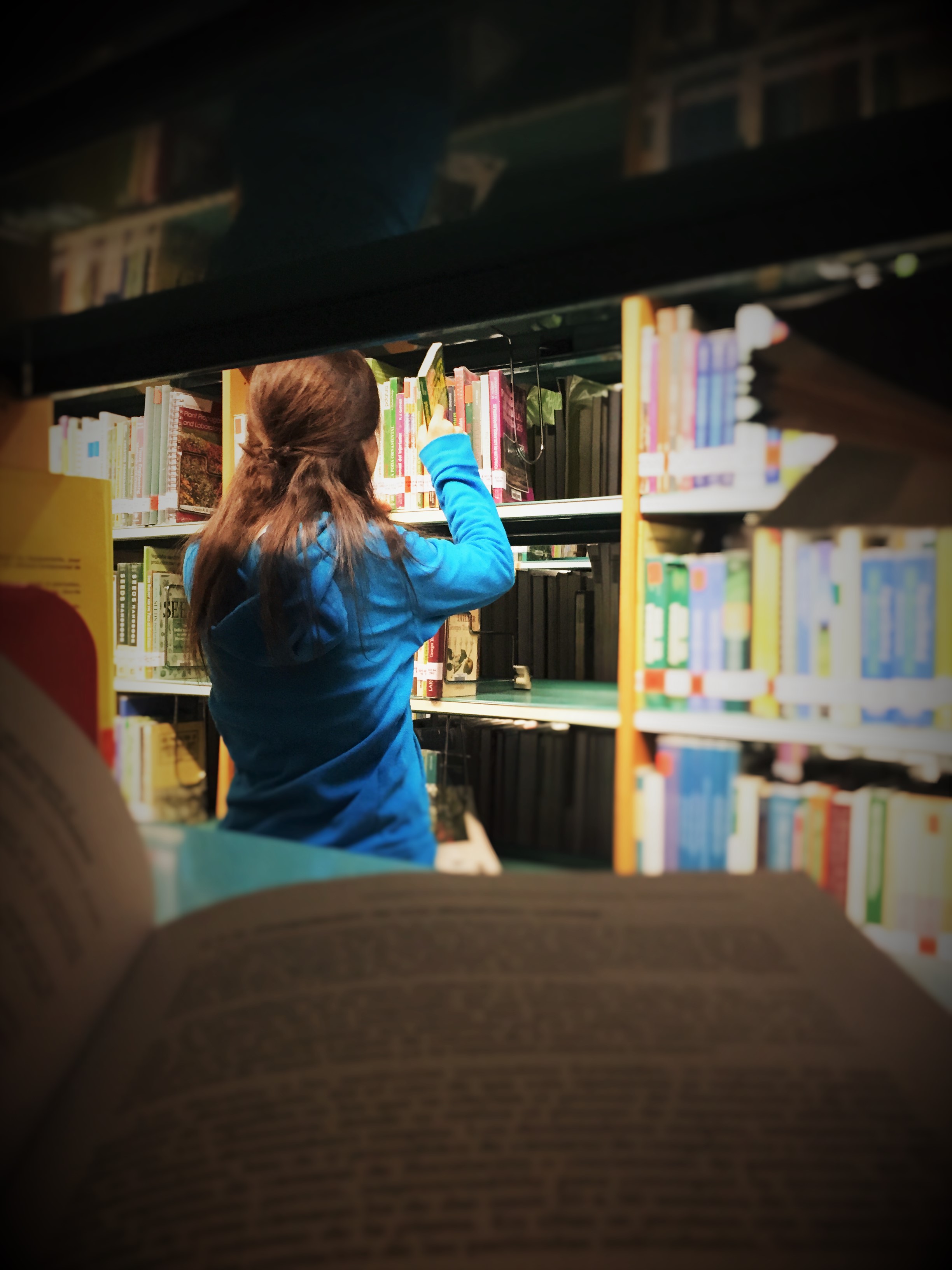 La informació al teu abast - Sonia Gil Samarra