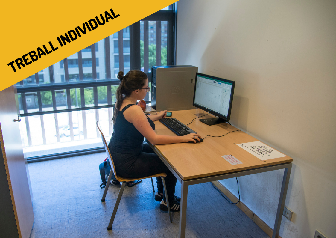 Biblioteca de Cappont Espai de treball individual