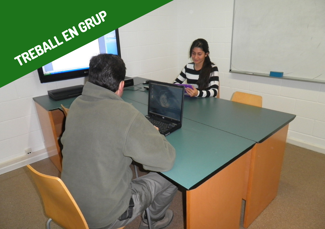 Biblioteca de l'ETSEA Espai de treball en grup