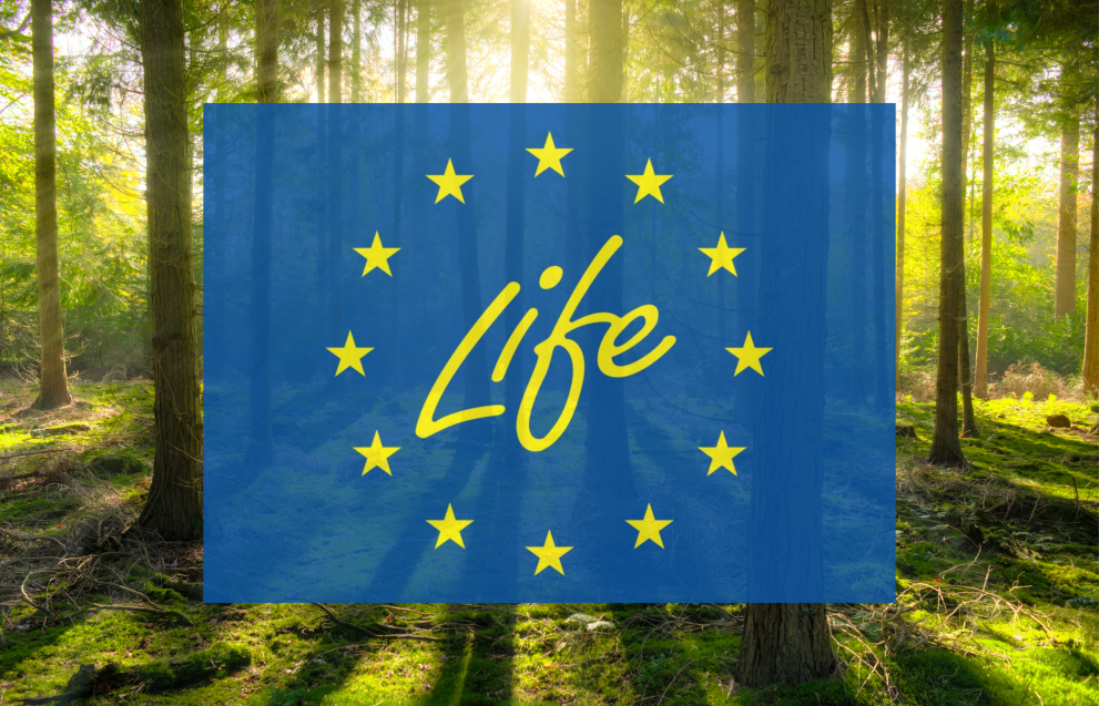 LIFE imagen