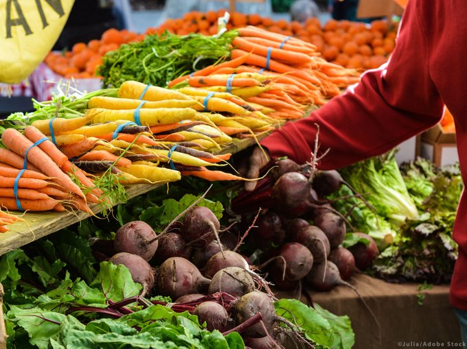 alimentacio saludable