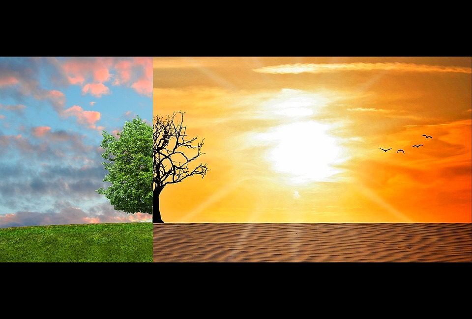canvi climatic