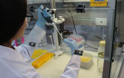 investigacion