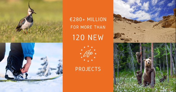 Projectes de medi ambient, naturalesa i acció per al clima