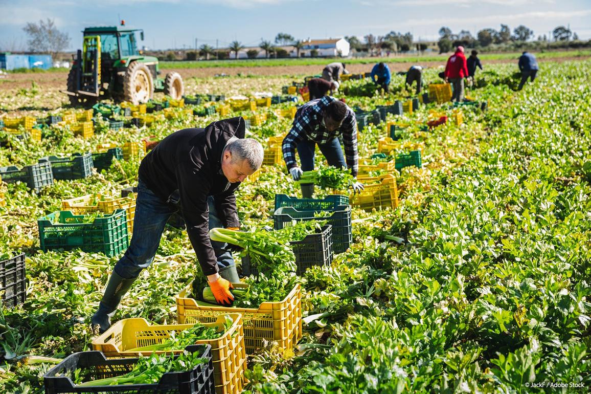 Migración laborall