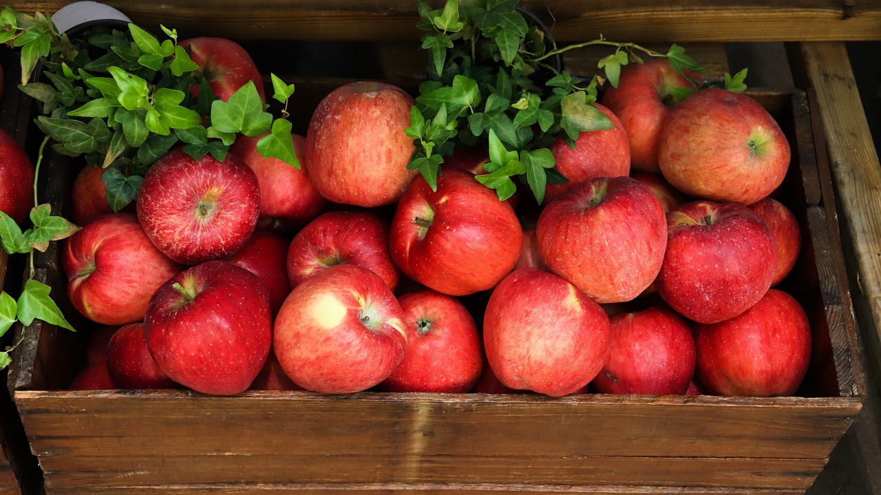 productes agroalimentaris_