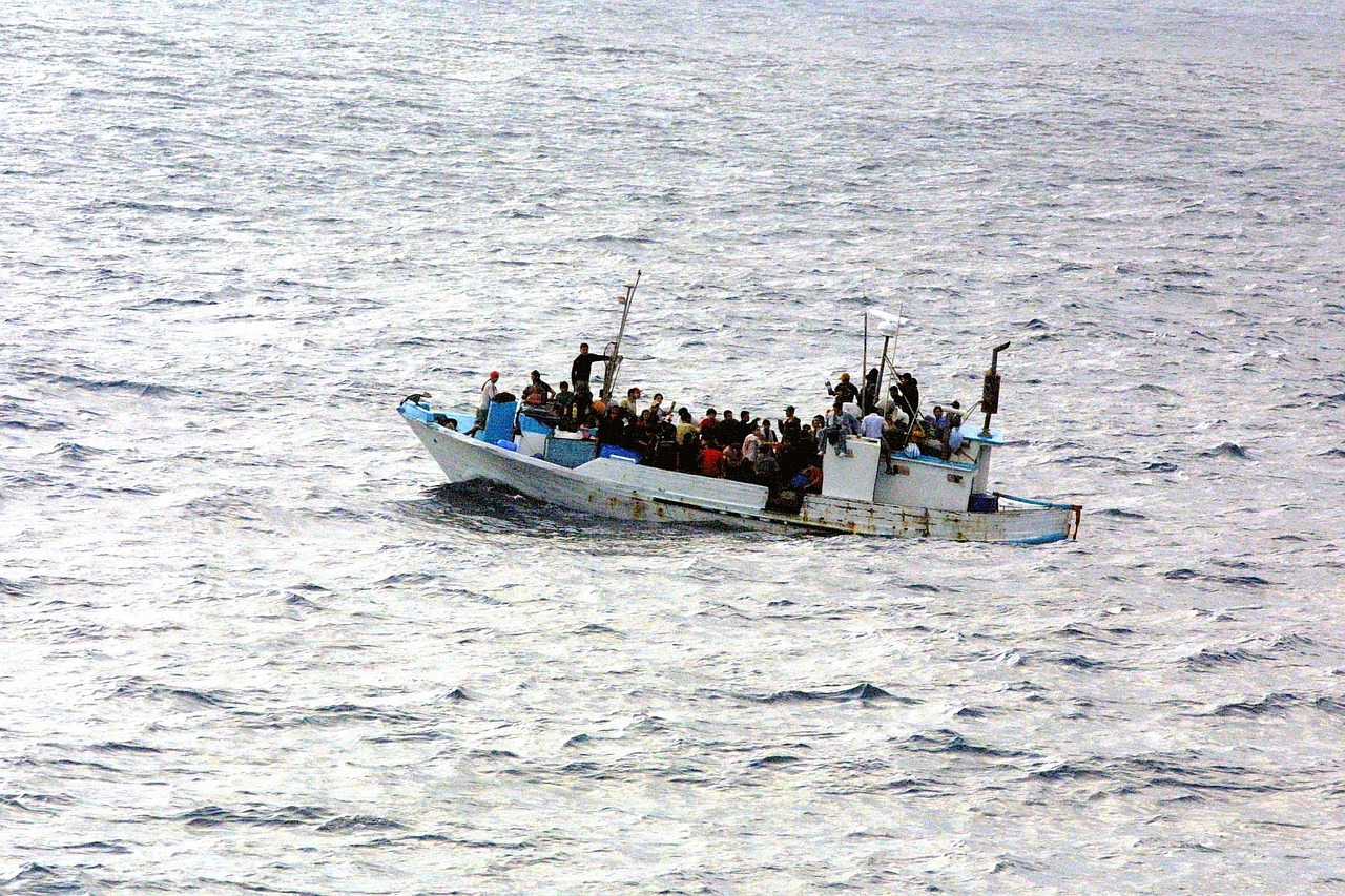 Rutas migratorias