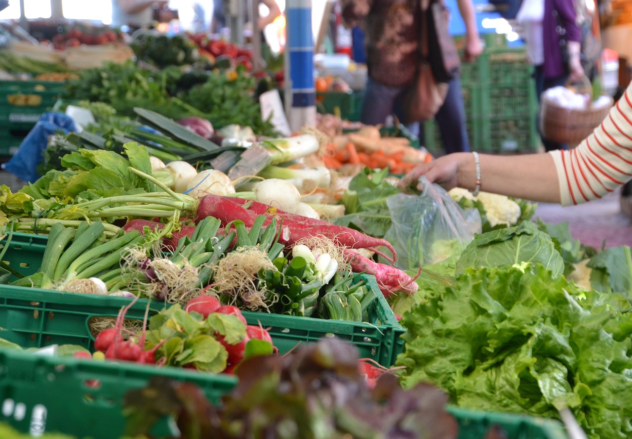 Sector agrari i agroalimentari