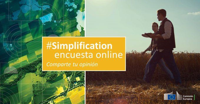 simlificació enquesta