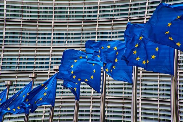 fiscalitat europea