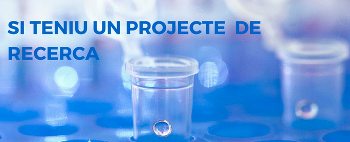 projecte recerca